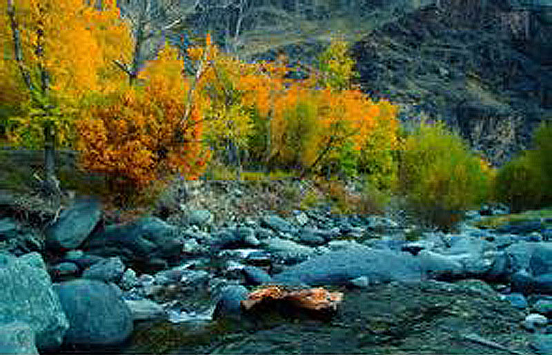 白羊沟自然风景区