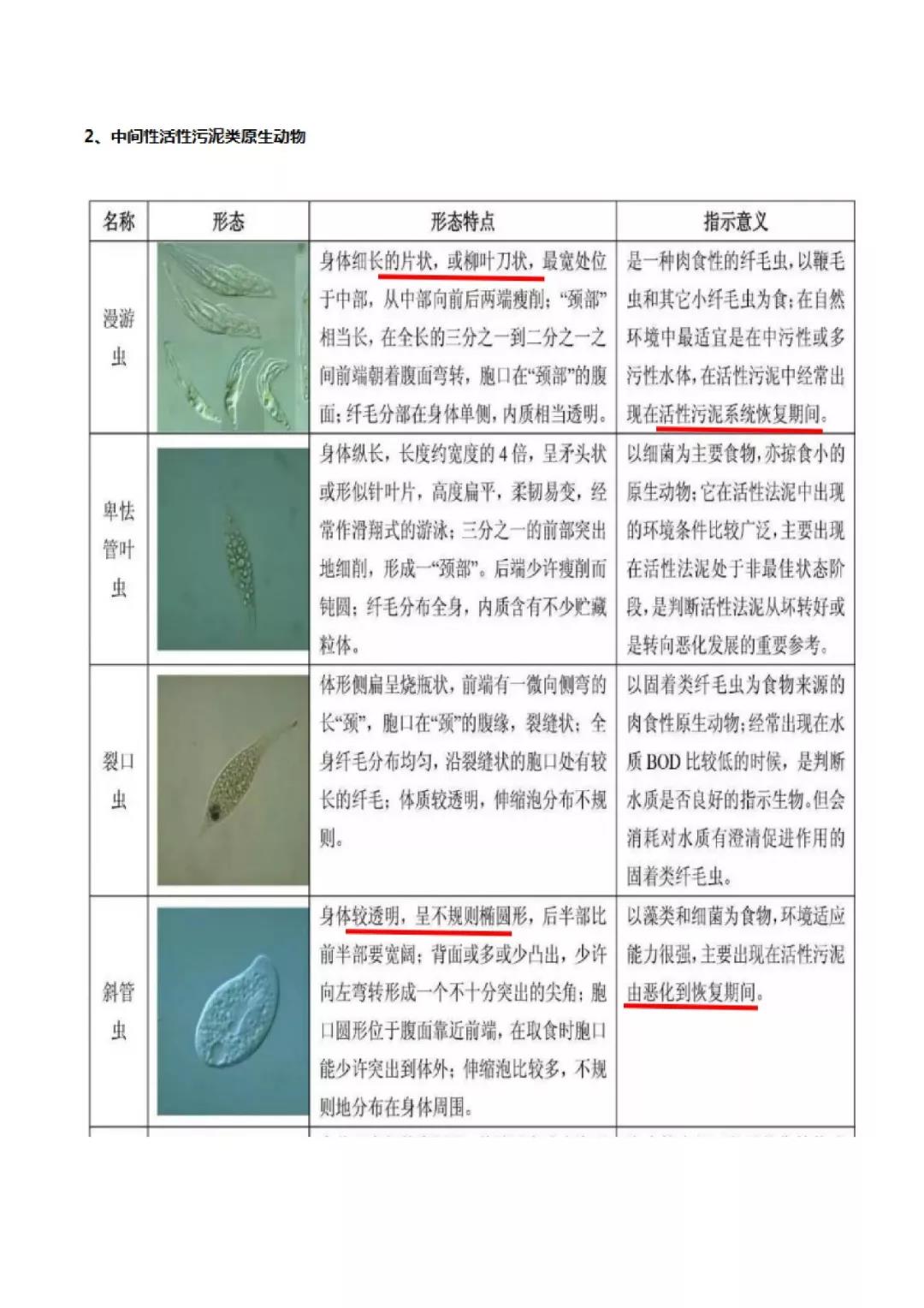 活性污泥微生物镜检|附35种微生物图谱和10个问答-北京百微特环境科技