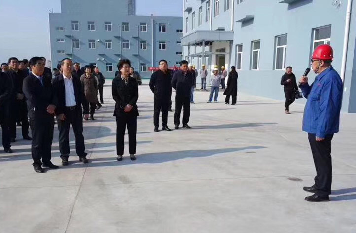 唐山市领导集体观摩乐亭区域能源中心