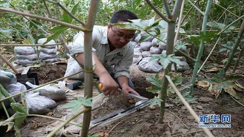 新疆人口容量小原因