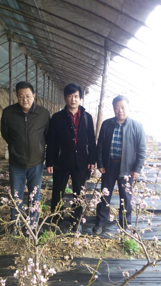 王加伟主任在乌兰浩特考察系列活动