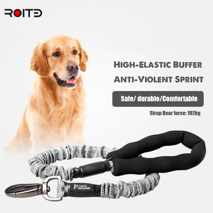 retractable chain dog leash