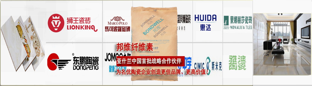 邦維纖維素_亞什蘭公司江門纖維素廠家生產陶瓷纖維素-著名品牌纖維素