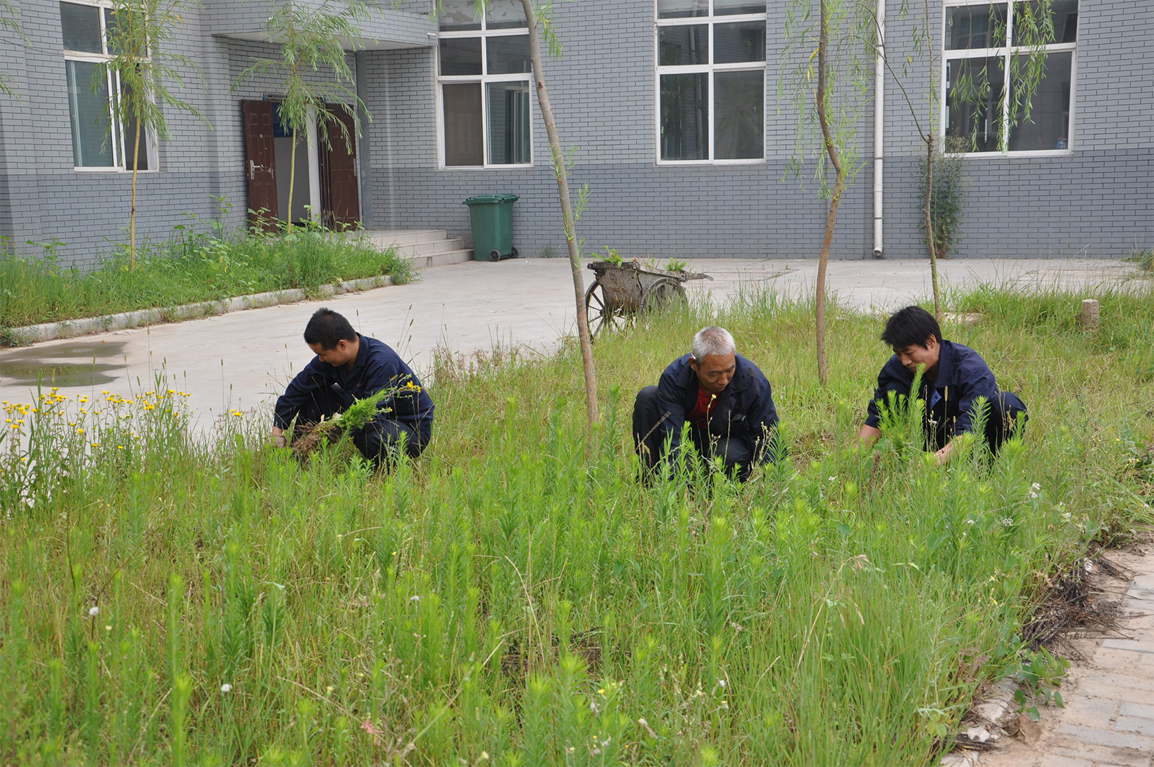 公司员工在厂区除草