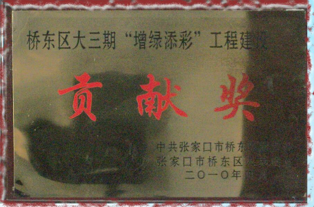 圖片13