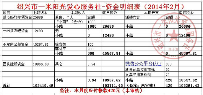 财务支出收入表格模板_财务收入稽核 日审