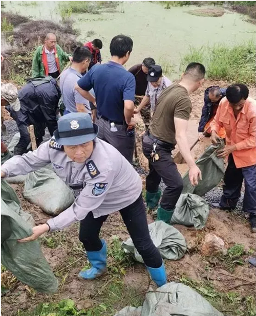 安徽保安防疫抗洪纪实