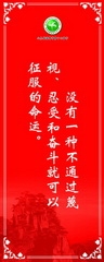 圖片109