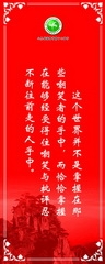 圖片114
