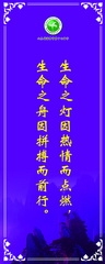 圖片46