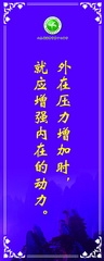 圖片37