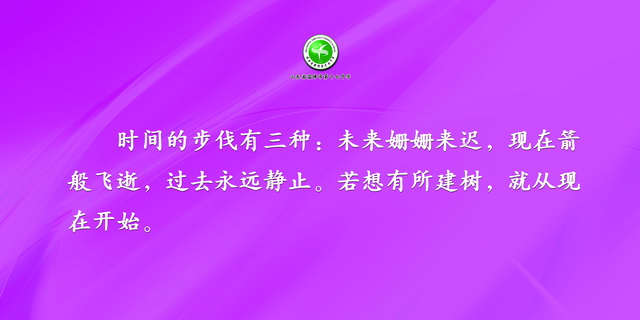 圖片4