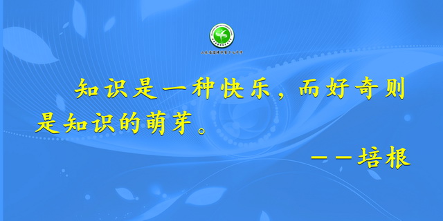 圖片7