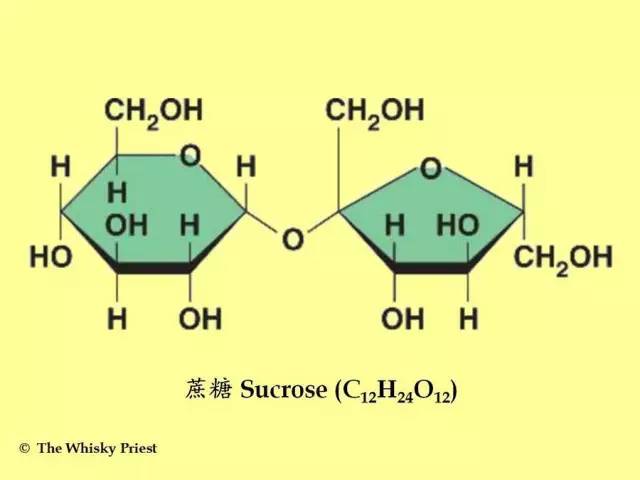 ▼一个果糖与一个葡萄糖分子结合在一起产生的双糖,称为"蔗糖