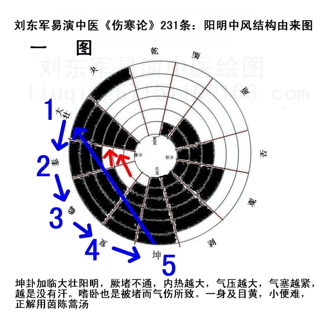 《易演伤寒论》十二辟卦图