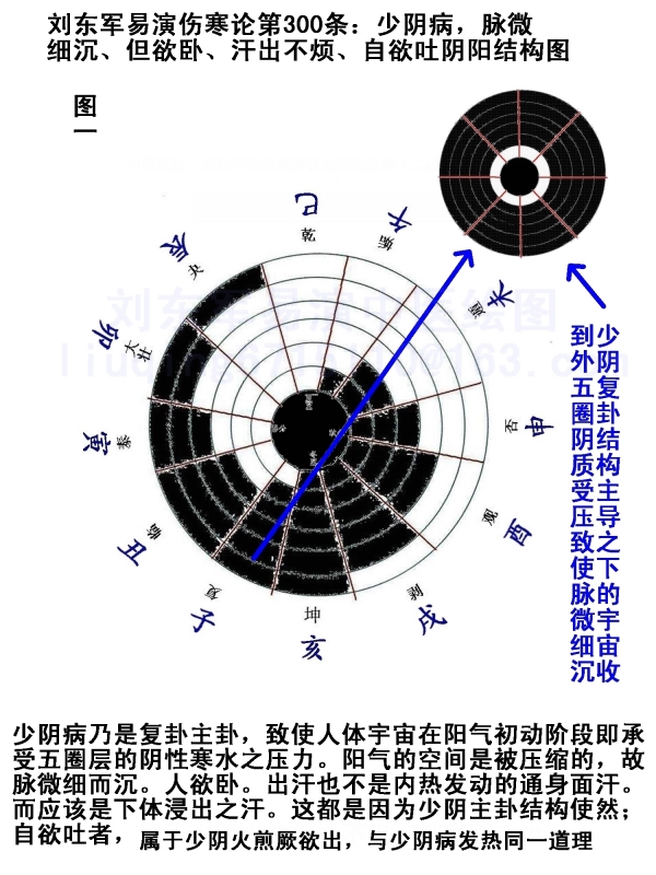 《易演伤寒论》十二辟卦图