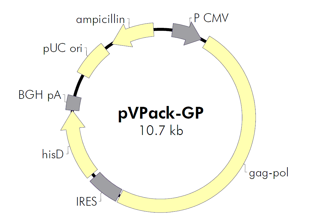 包装系统,与信封载体一起使用,    如 pvpack-eco,    pvpack-ampho