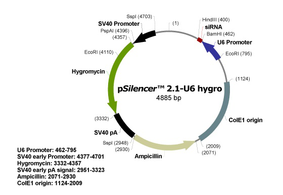 pSilencer 2.1-U6 hygro