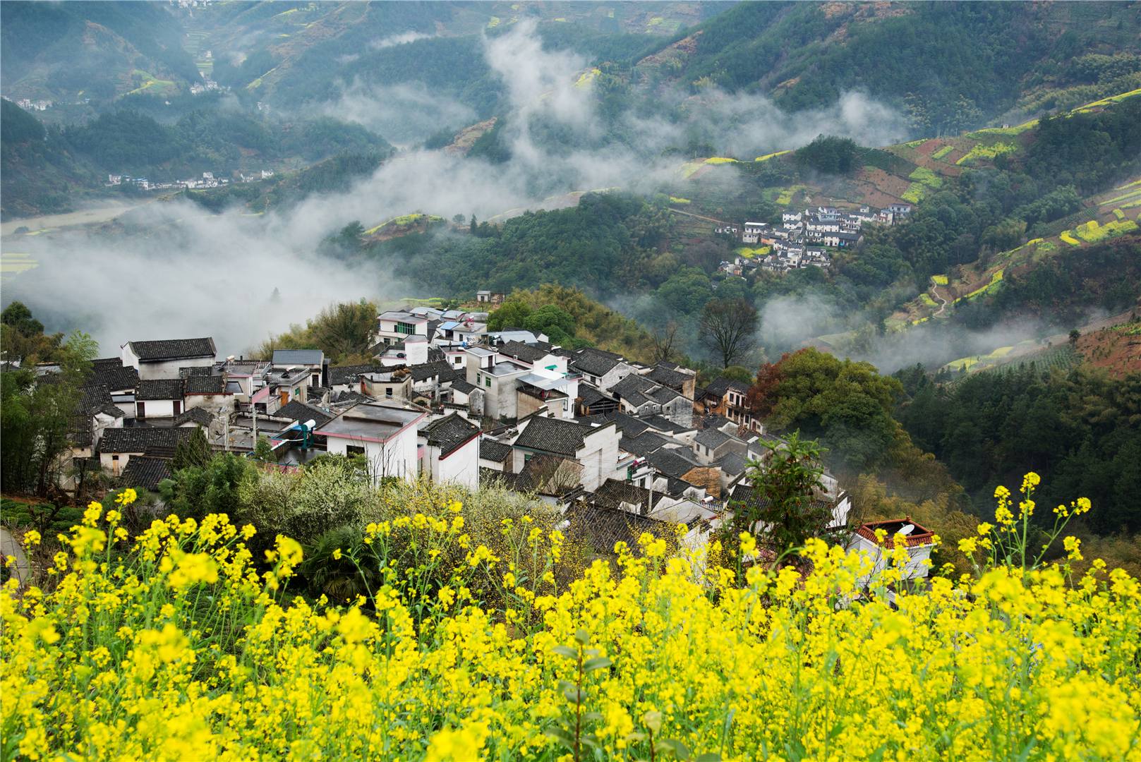 新闻资讯-歙县坡山村农家乐协会-歙县坡山旅游网- 坡