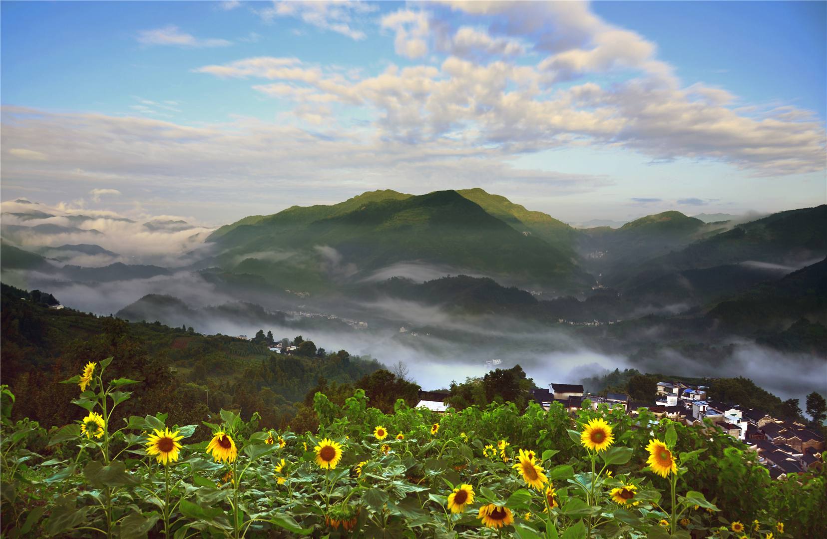 歙县坡山农家乐协会-歙县坡山村农家乐住宿- 安徽歙县坡山村攻略- 歙县坡山四季海官网