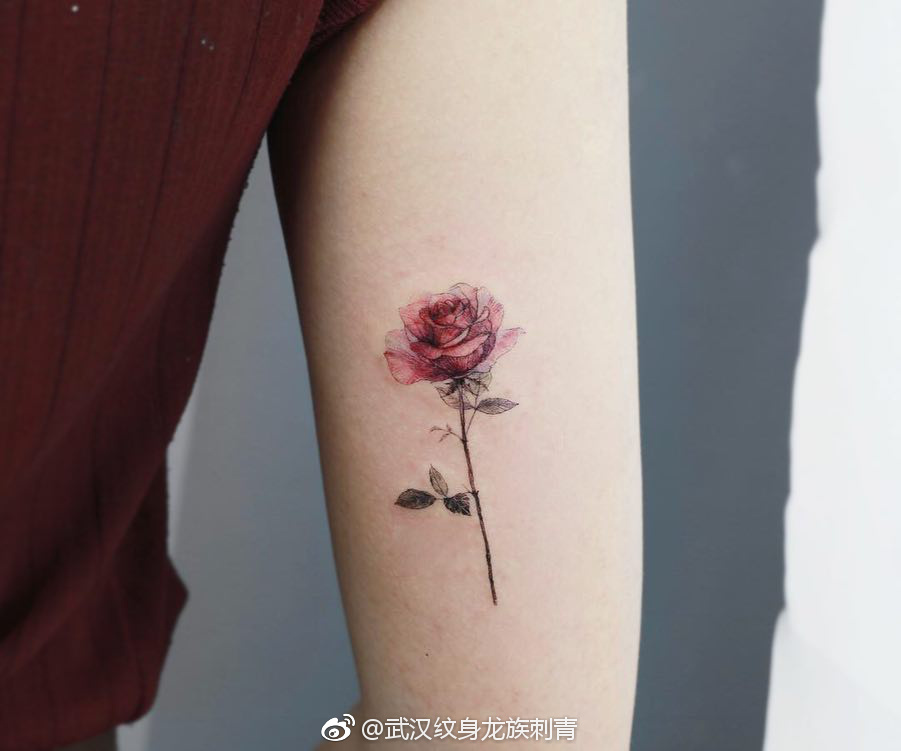 大臂红玫瑰写实纹身寓意 武汉龙族纹身