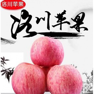 国家现代农业产业园—— 洛川苹果