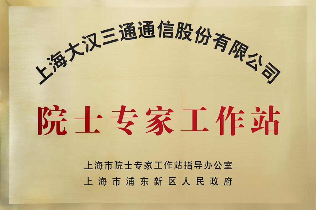 上海大汉三通通信股份有限公司院士工作站铜牌