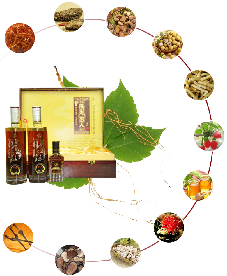 虫草花 主治由肺肾两虚引起 的咳嗽气促.