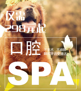 口腔spa