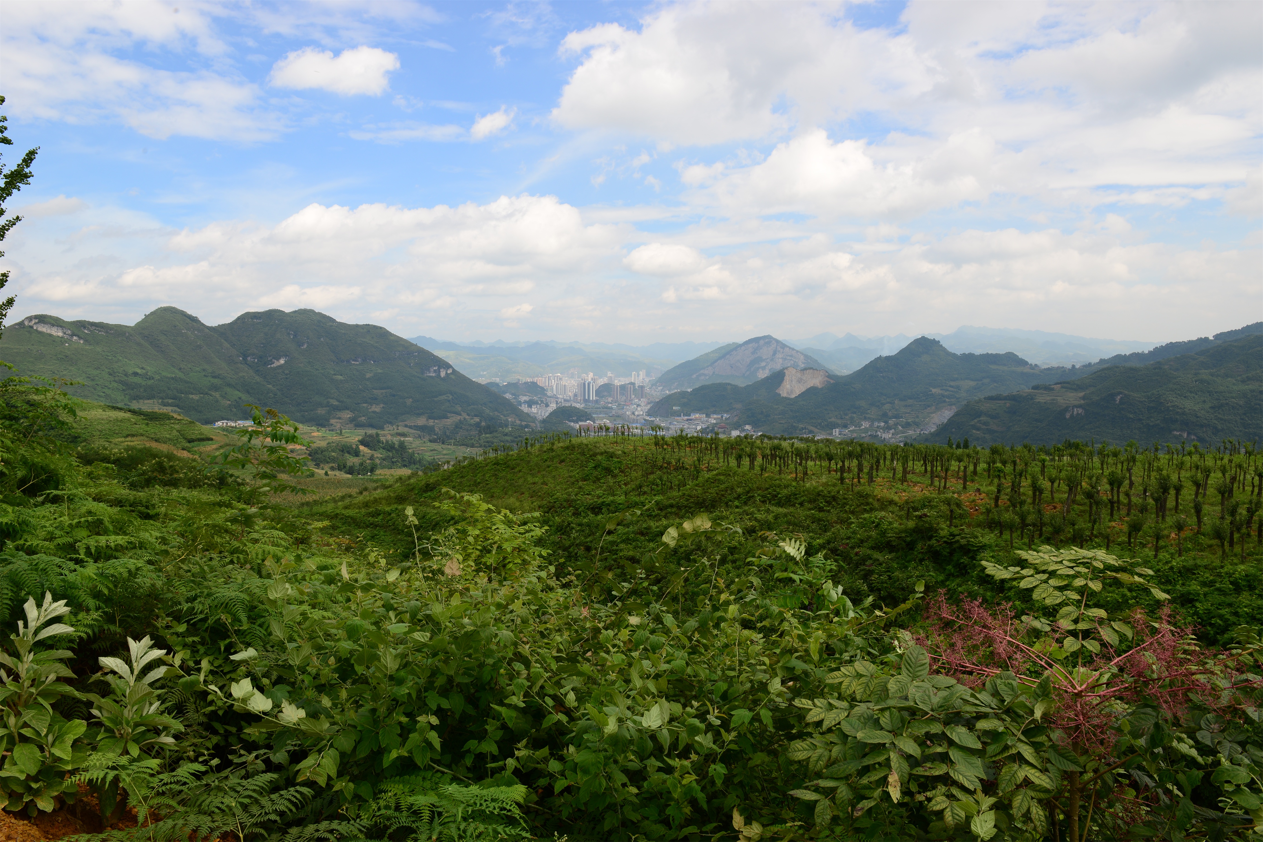 杉坪,黔北第一村-貴州遵義◎桐梓旅遊網