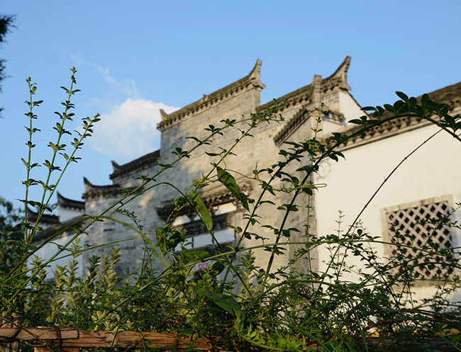 山庄动态-泾县宾馆_泾县住宿价格-泾县桃花山庄有限公司