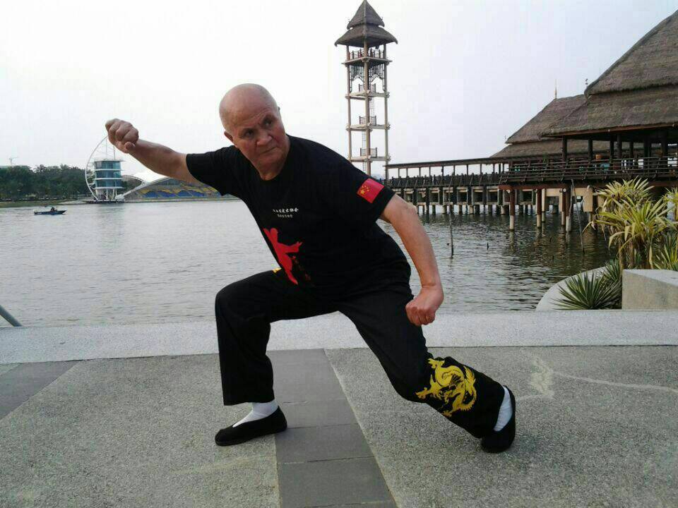 东升武术名家（东升武术名家是谁）《东升武馆》