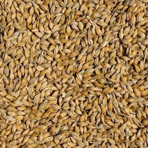 格拉斯哥明日之星clydeside —— 制作工艺篇-单一纯麦威士忌俱乐部