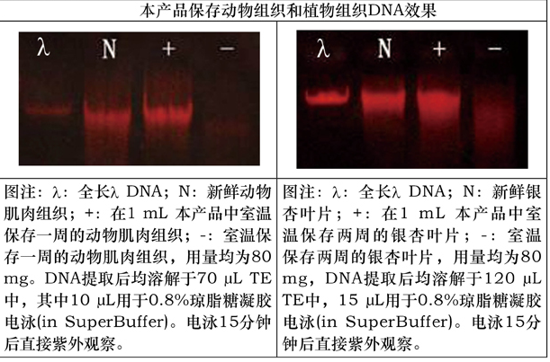无液氮RNA/DNA组织样品常温保存液-北京华越洋生物