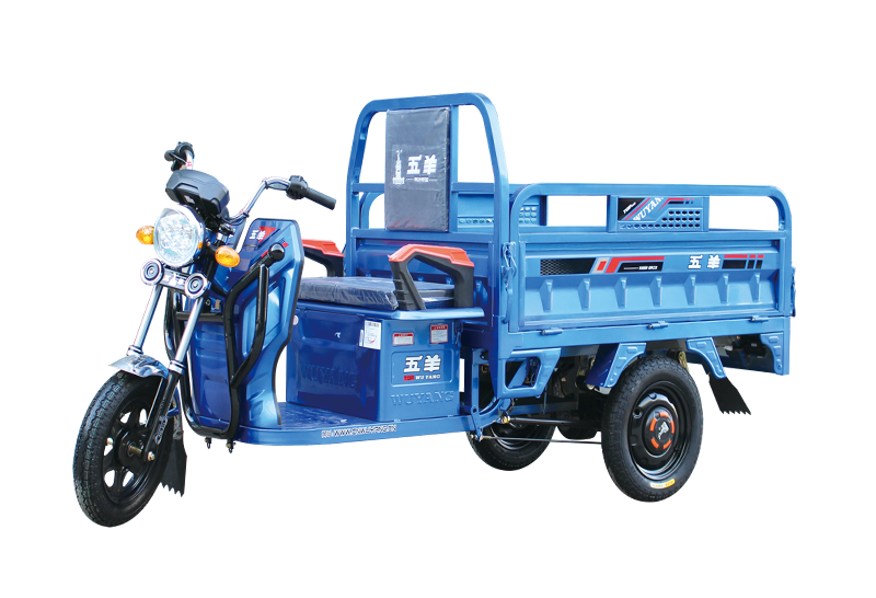 五羊电动车|徐州五羊新能源有限公司【官网】