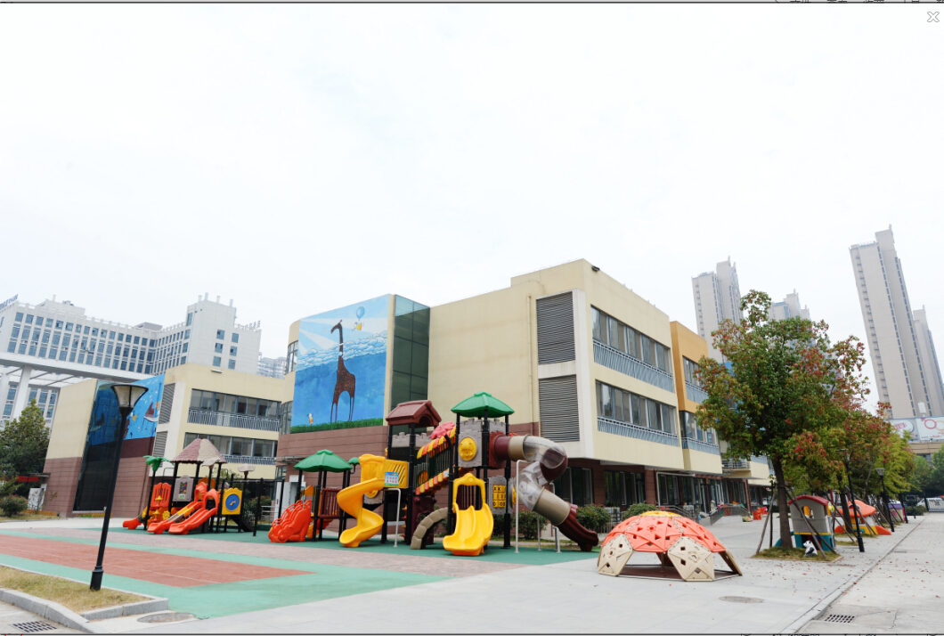 2019合肥市滨湖启明星幼儿园总园及分园招聘幼儿教师85名公告